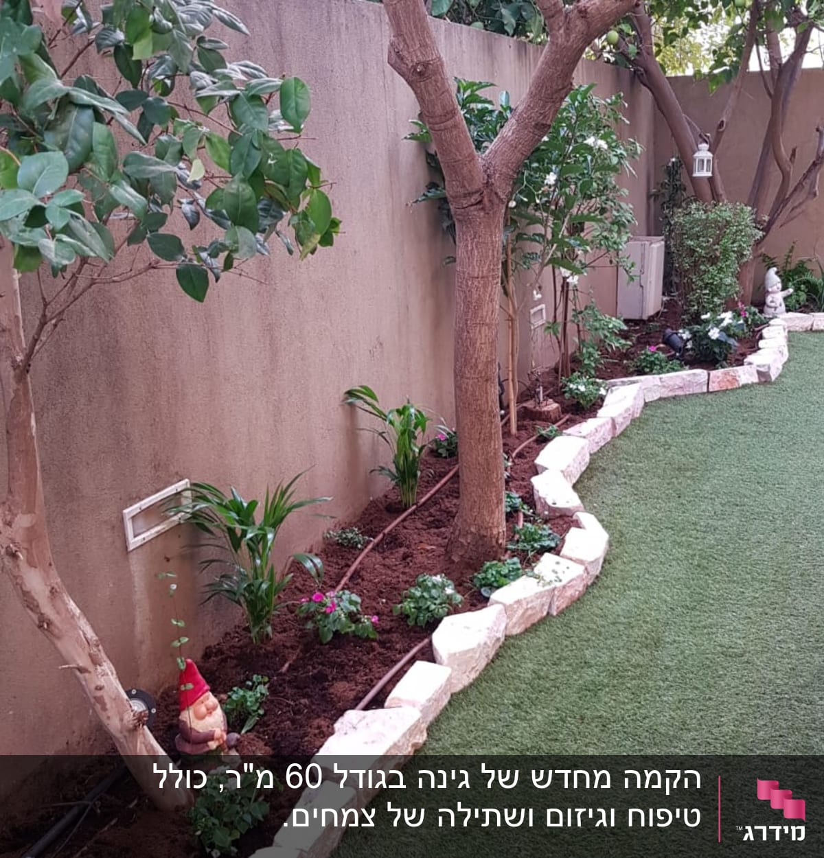 גינה עם עצים, שיחים ופרחים לאורך שביל אבנים